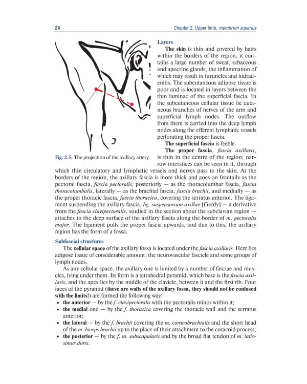 Topographic Anatomy and Operative Surgery: textbook: на англ.яз