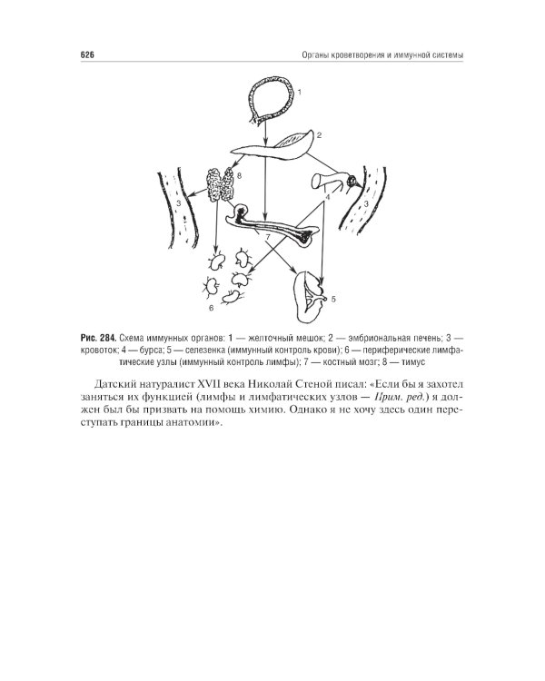Анатомия человека: Учебник. 14-е изд., испр. и доп
