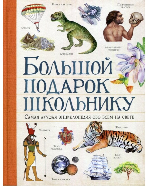 Большой подарок школьнику