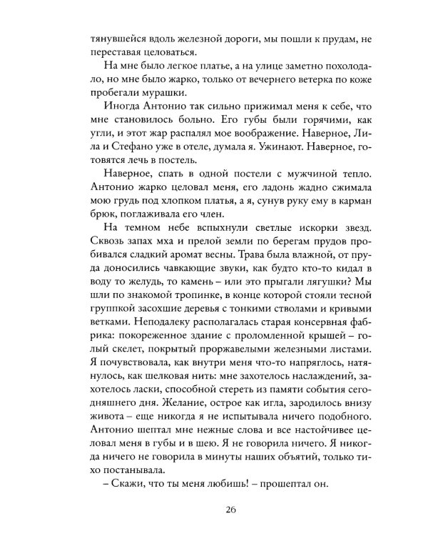 История нового имени. Моя гениальная подруга. Кн. 2: Юность