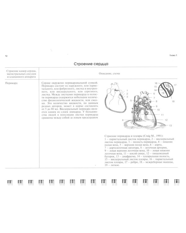 Эхокардиография в таблицах и схемах. Настольный справочник. 4-е изд., испр. и доп
