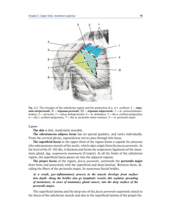 Topographic Anatomy and Operative Surgery: textbook: на англ.яз
