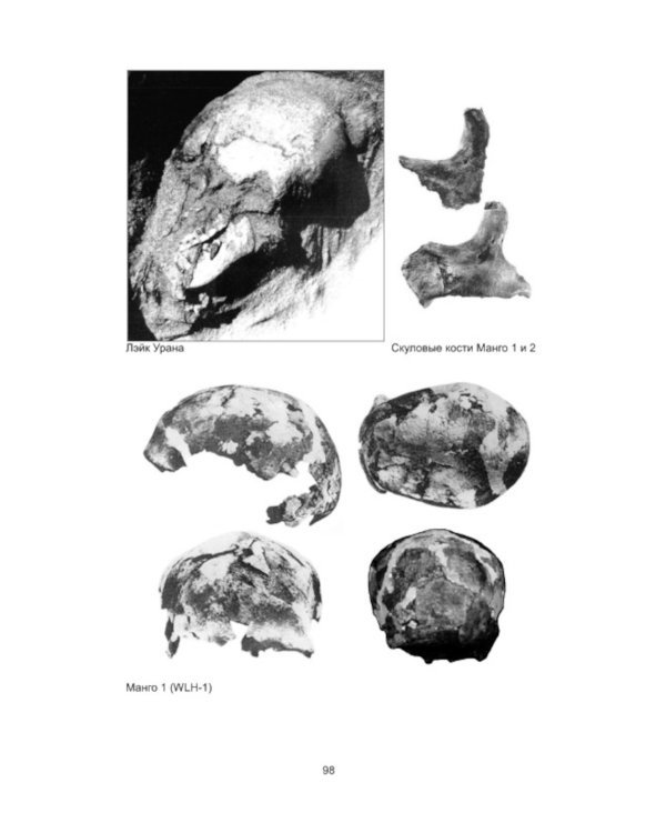 Происхождение человеческих рас: Австралия и Океания