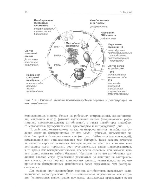 Современные антибиотики и их аналоги. 2-е изд