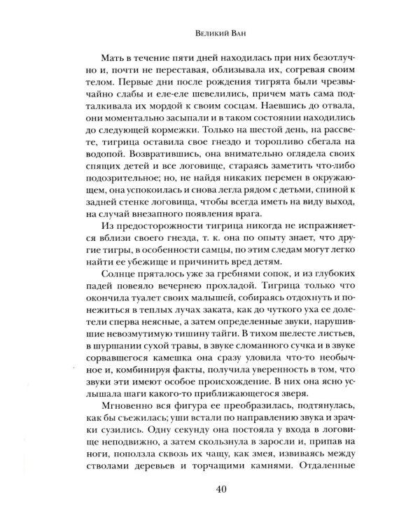 Дополнительное изображение книги «Великий Ван. Черный капитан: роман»