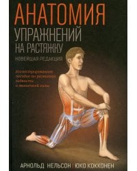 Анатомия упражнений на растяжку