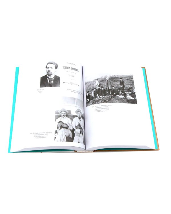 Чеховиана. Семейная сага. В 2 кн