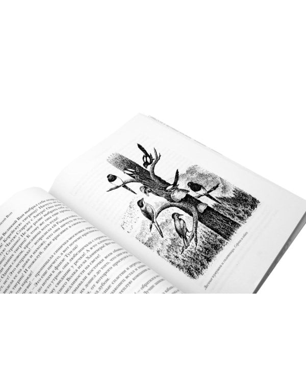 Дополнительное изображение книги «Великий Ван. Черный капитан: роман»