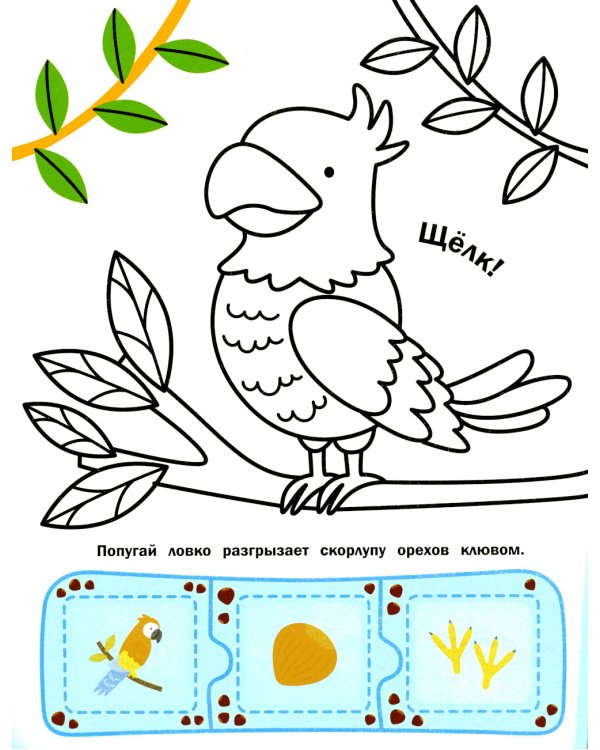 Зоопарк: книжка с наклейками (48 наклеек)