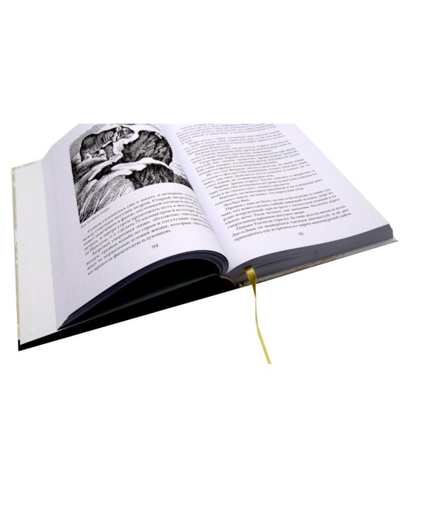 Дополнительное изображение книги «Великий Ван. Черный капитан: роман»