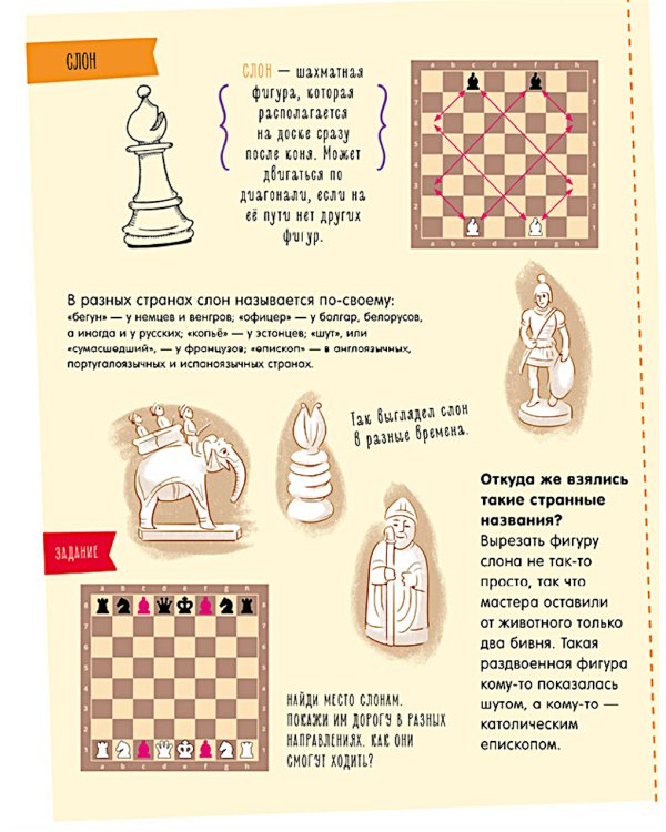Моя первая книга про шахматы в сказках