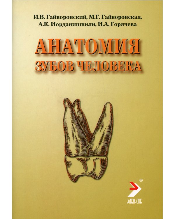 Анатомия зубов человека. Учебное пособие
