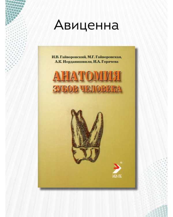 Анатомия зубов человека. Учебное пособие