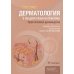 Дерматология в общеврачебной практике. Практическое руководство Дерматология в общеврачебной практике. Практическое руководство