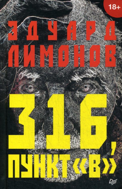 Публицистический роман 316, пункт "В"