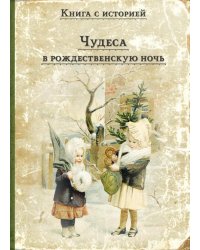 Чудеса в рождественскую ночь: сказки и рассказы русских писателей