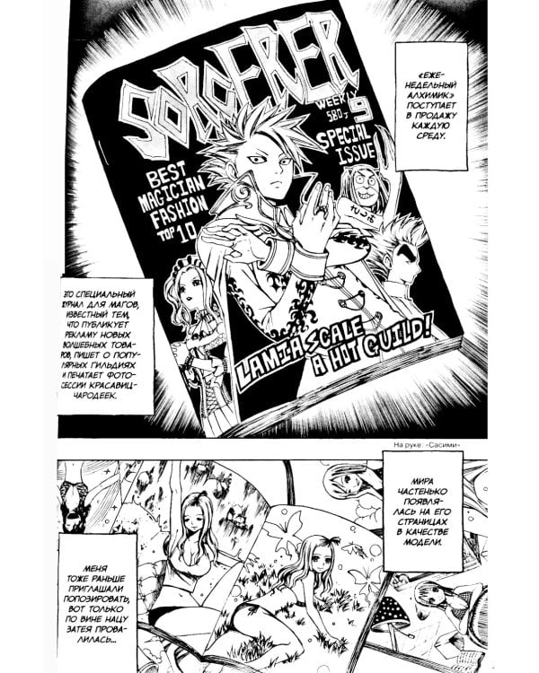 Хвост Феи, т. 13