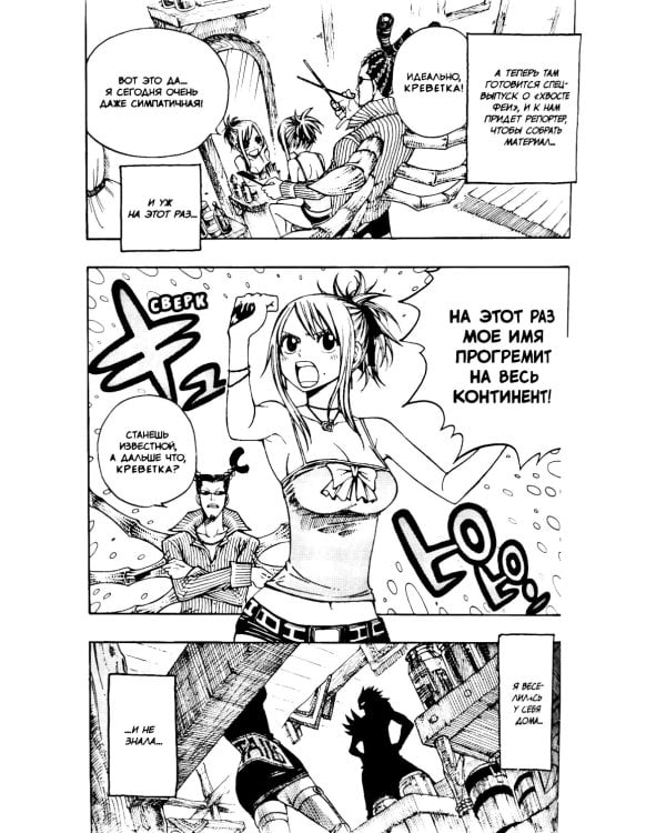 Хвост Феи, т. 13