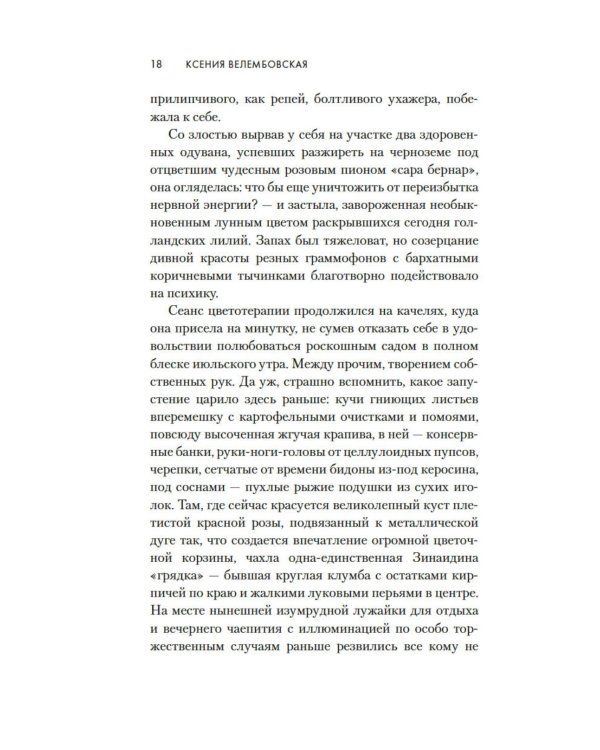 Дама с биографией: роман