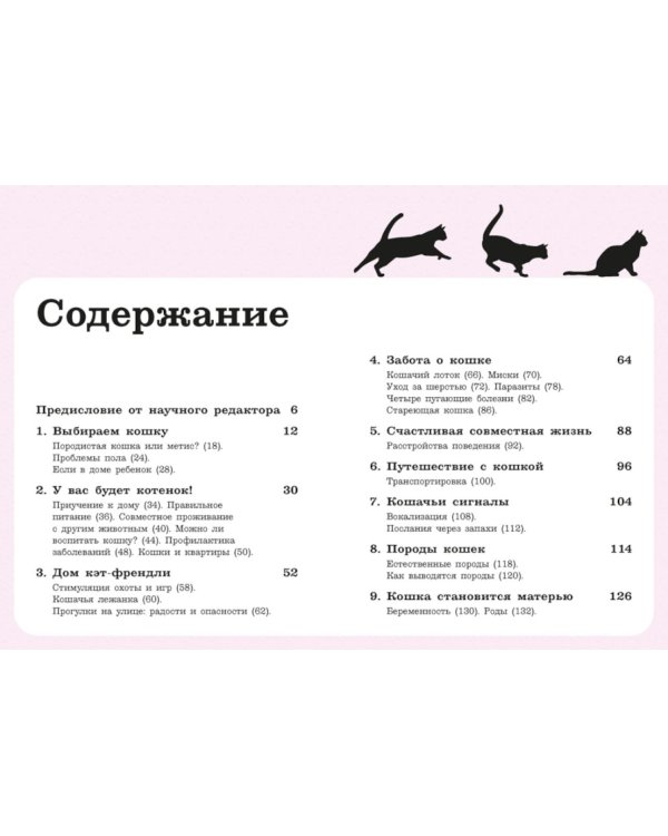 Гладить! Кормить! Любить! Замурчательное пособие по счастливой жизни с кошкой
