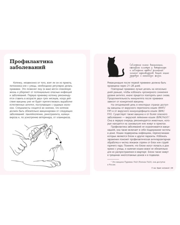Гладить! Кормить! Любить! Замурчательное пособие по счастливой жизни с кошкой