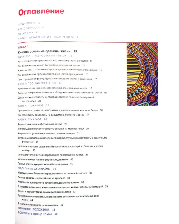 Основы молекулярной биологии клетки. 4-е изд