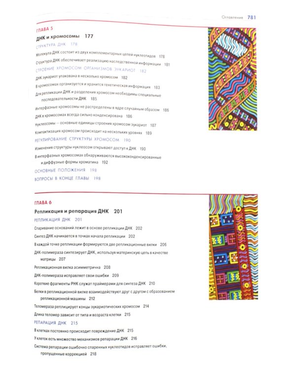 Основы молекулярной биологии клетки. 4-е изд