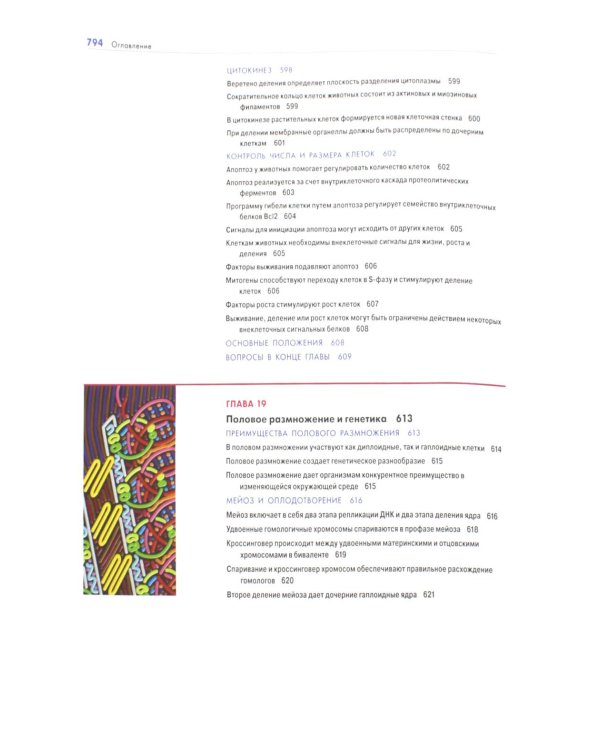 Основы молекулярной биологии клетки. 4-е изд