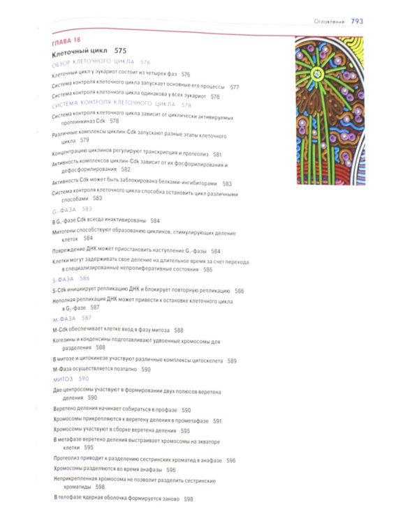Основы молекулярной биологии клетки. 4-е изд