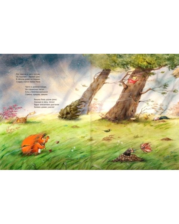 Большое приключение маленькой белочки: развивающая книжка с лабиринтами