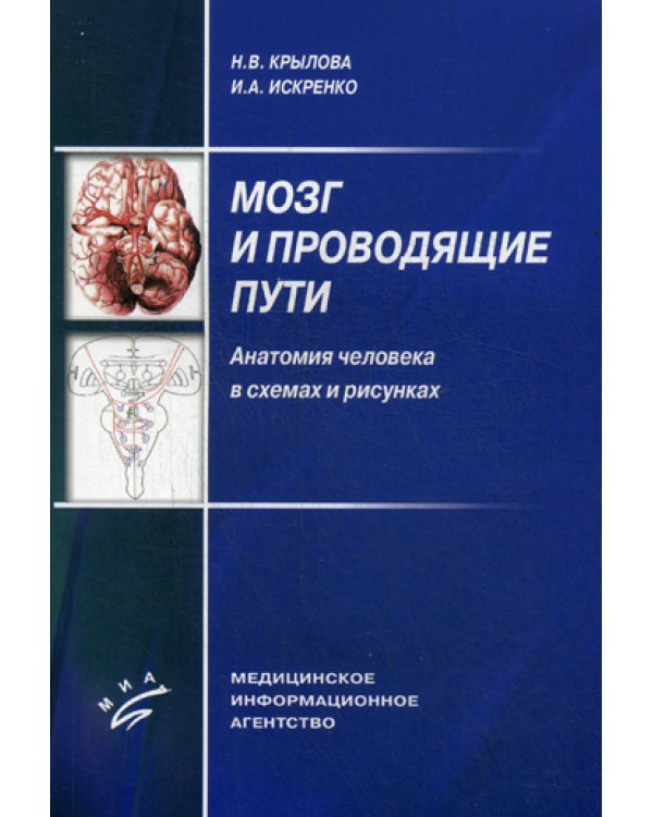 Мозг и проводящие пути. Анатомия человека в схемах и рисунках: Учебное пособие