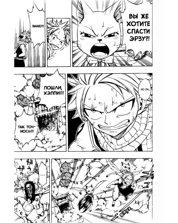 Хвост Феи, т. 17