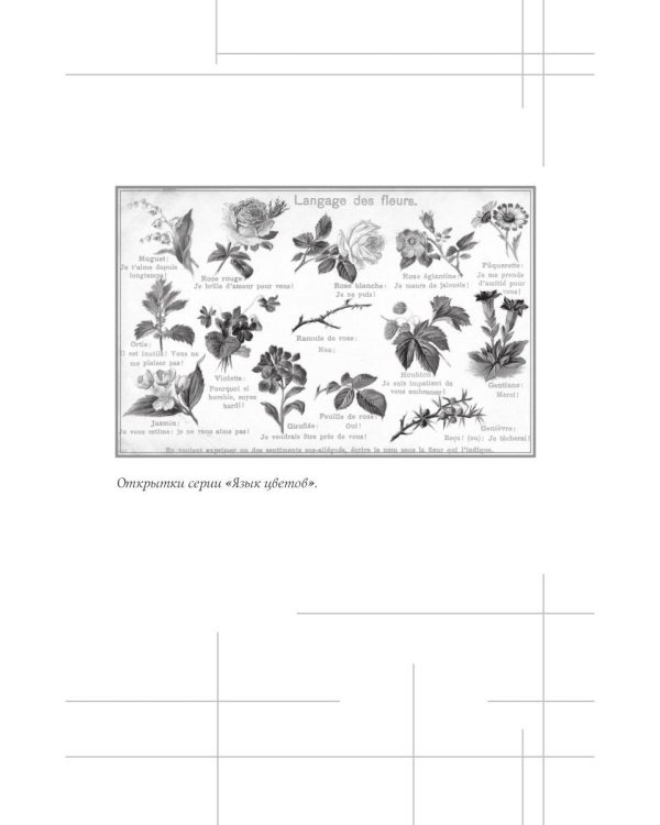 Анна Керн. Муза А.С. Пушкина