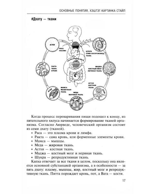 Аюрведа. Пособие по мужскому здоровью