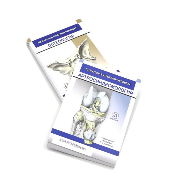 Вместе дешевле Визуальная анатомия человека: Остеология; Артросиндесмология (Карточки) (комплект)
