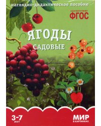 Мир в картинках. Ягоды садовые: наглядно-дидактическое пособие