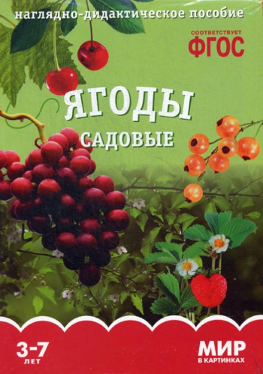 Мир в картинках Мир в картинках. Ягоды садовые: наглядно-дидактическое пособие