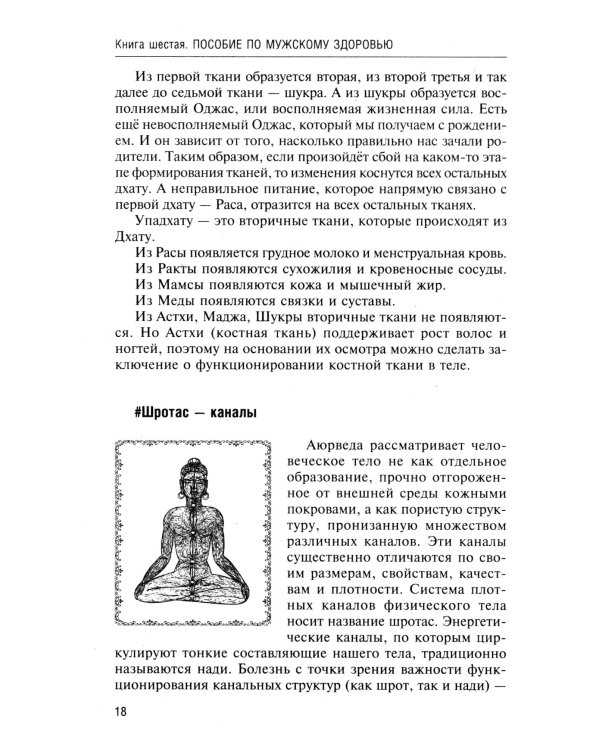 Аюрведа. Пособие по мужскому здоровью