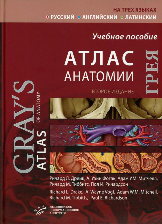 Атлас анатомии Грея: Учебное пособие (на 3-х языках: русский, английский, латинский). 2-е изд Атлас анатомии Грея: Учебное пособие (на 3-х языках: русский, английский, латинский). 2-е изд