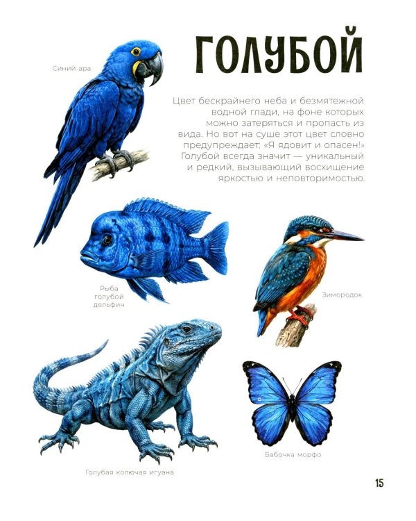 Первая книга малыша. Животные