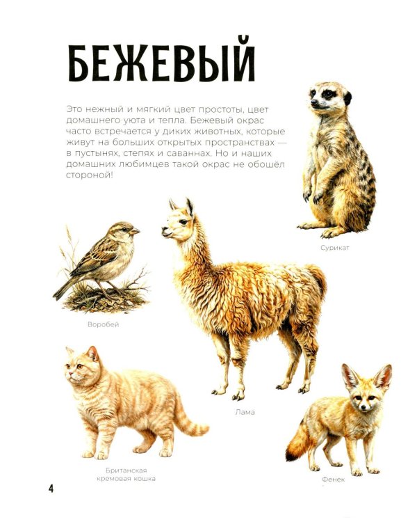 Первая книга малыша. Животные