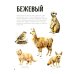 Первая книга малыша. Животные