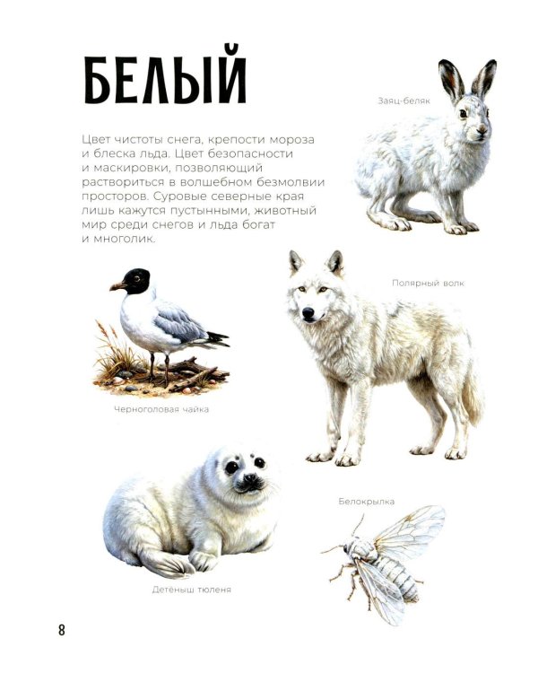 Первая книга малыша. Животные