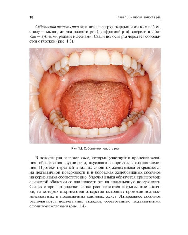 Система коффердам: базовые знания и практические навыки изоляции рабочего поля в клинической стоматологии: Учебное пособие