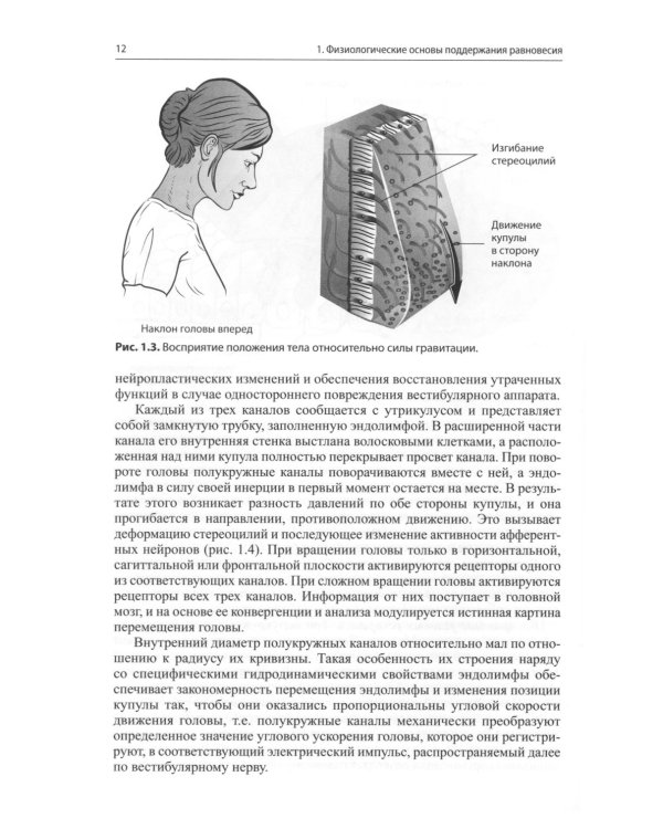 Головокружение и неустойчивость: современные рекомендации по диагностике и лечению: Учебное пособие. 2-е изд