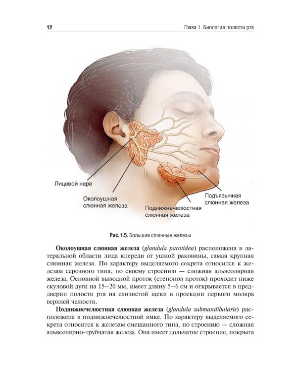 Система коффердам: базовые знания и практические навыки изоляции рабочего поля в клинической стоматологии: Учебное пособие