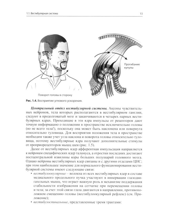 Головокружение и неустойчивость: современные рекомендации по диагностике и лечению: Учебное пособие. 2-е изд
