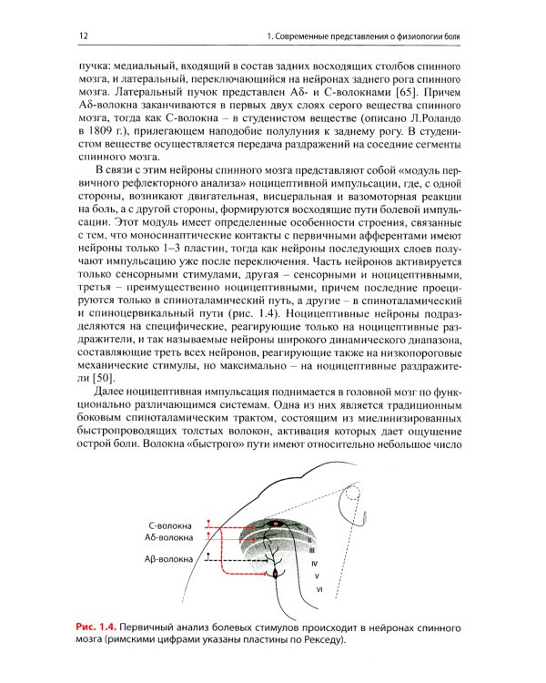 Малоинвазивная терапия (блокады) в неврологии. 5-е изд