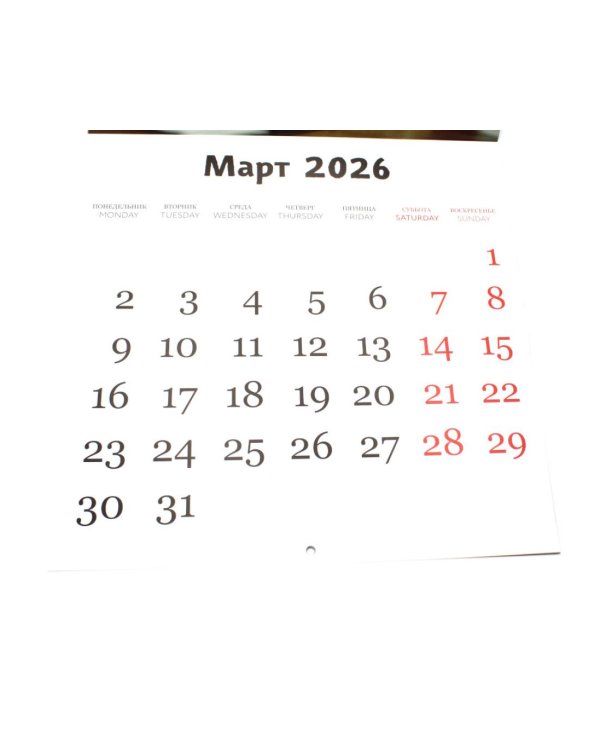 Рабочие лапки. Календарь настенный на 2026 год