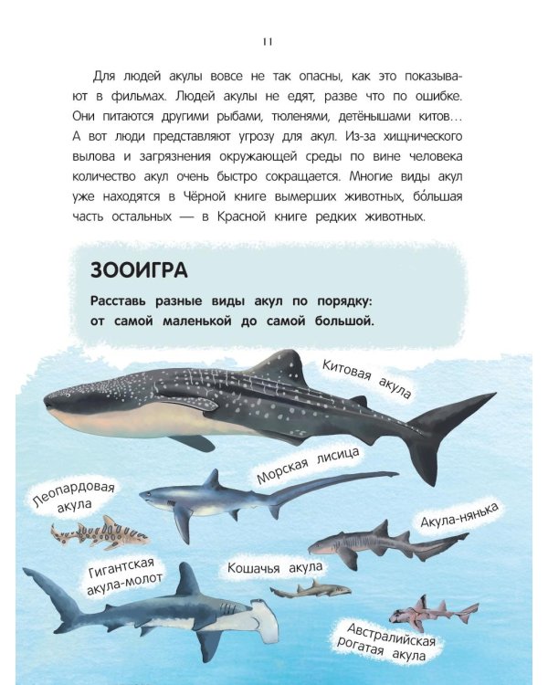 Китенок? Теленок! Водоплавающие семьи: факты и игры